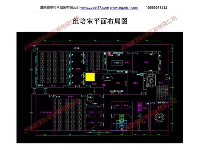 麻豆精品一区二区综合AV室