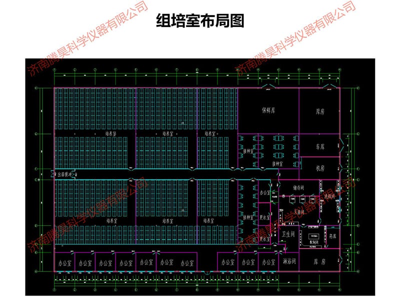 麻豆精品一区二区综合AV室