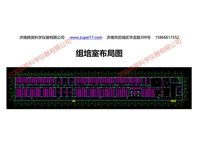 麻豆精品一区二区综合AV室