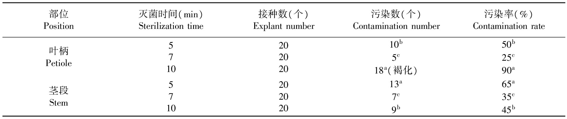 植物麻豆精品一区二区综合AV設備