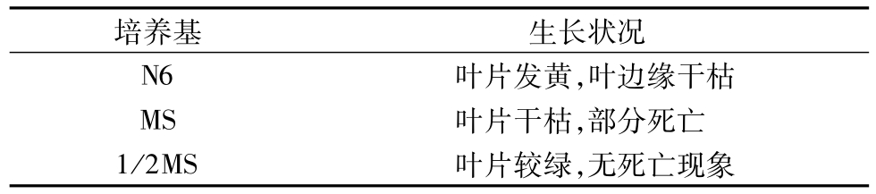 麻豆精品一区二区综合AV架