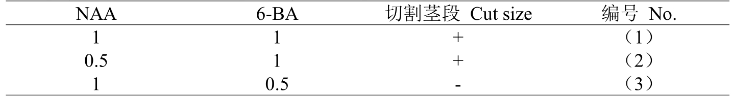 麻豆精品一区二区综合AV室設計