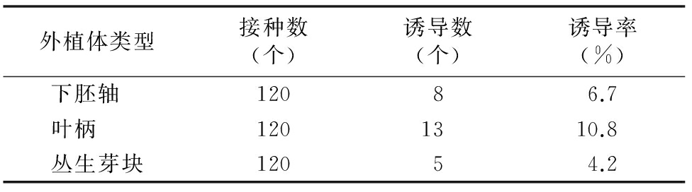 培養架